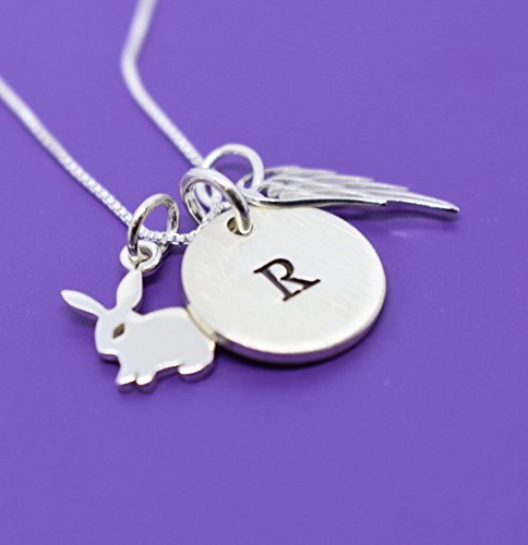 Personalized Pet Rabbit Memorial Necklace - Sympathy Gift for Pet Loss, Bunny Keepsake Jewelry with Tiny Charm - Perfect for Remembrance & Healing After Losing a Beloved Rabbit