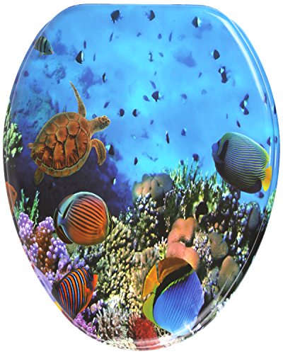 Ocean