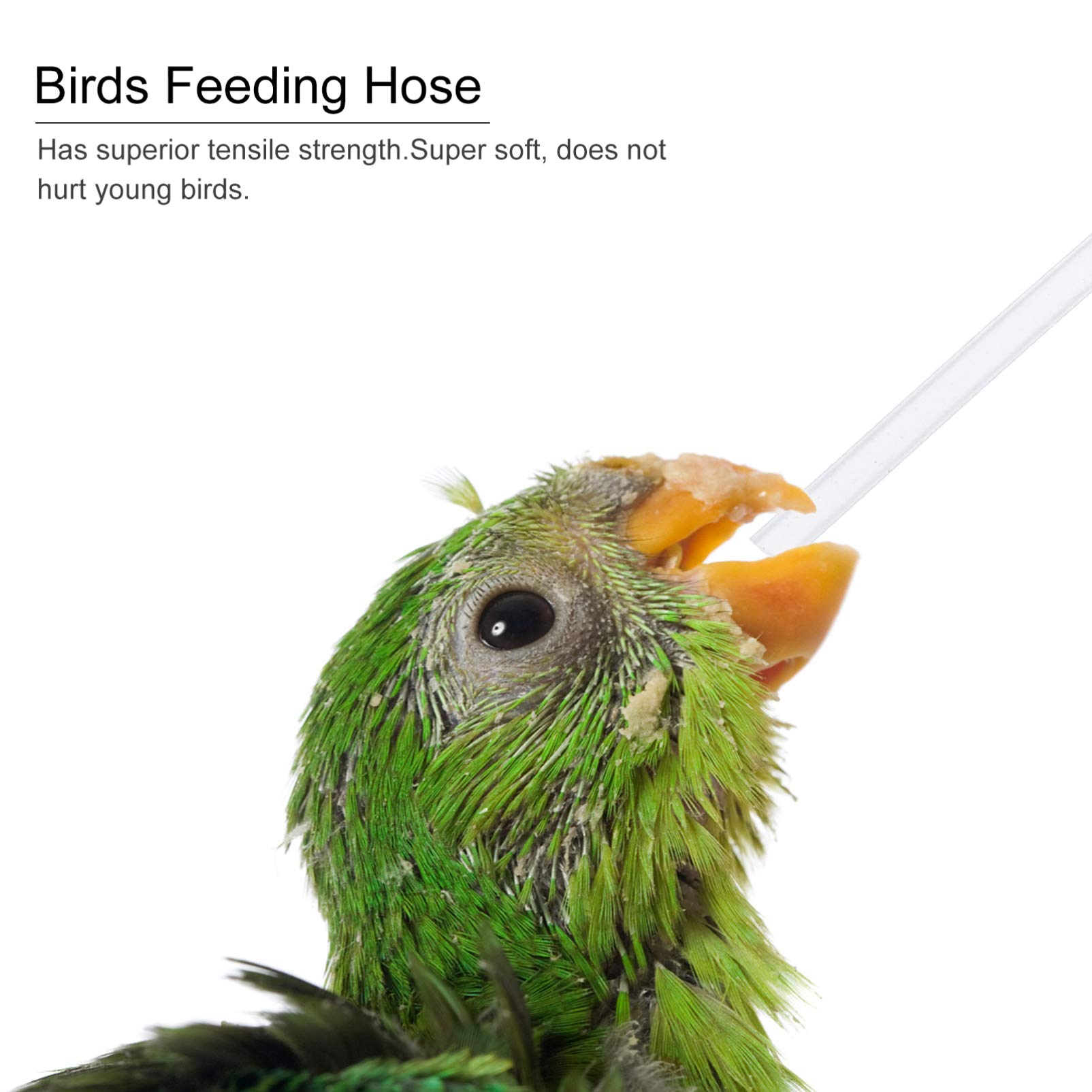 3pcs Plastic Bird Feeding Hose Kit - Durable Bird Feeder Accessories for Medicine Supply & Watering - Perfect for Aviaries, Pet Birds & Wild Bird Care