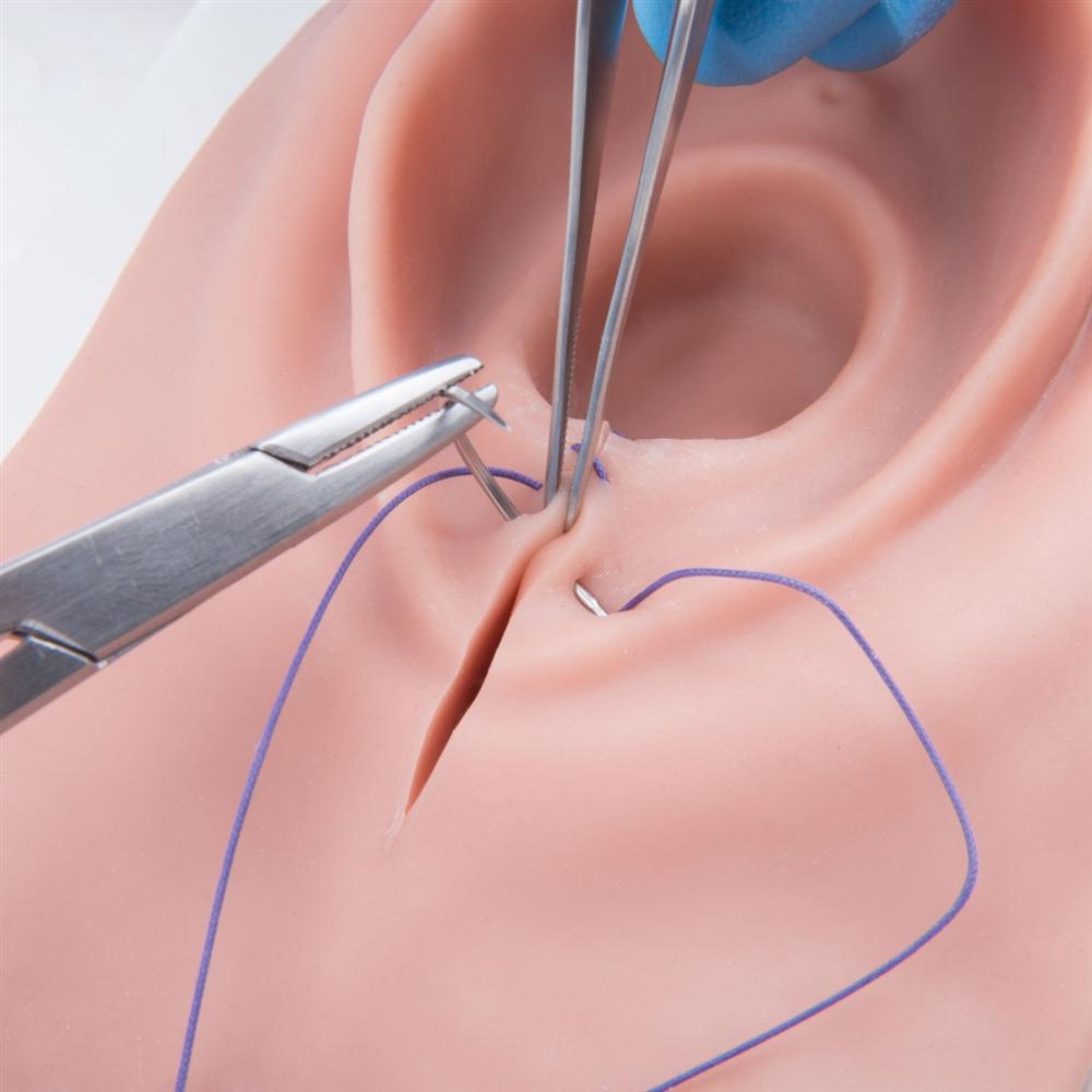 Episiotomy and Suturing Simulator with Realistic Lighting - Medical Training Model for OBGYN Students & Midwives - Perfect for Clinical Practice & Surgical Skills Development