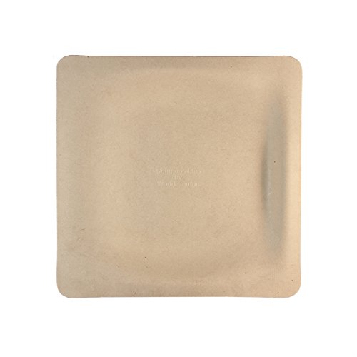 World Centric SQ-SC-7 100% Compostable Unbleached Plant Fiber Square Plates, 7 Inch Eco-Friendly Disposable Plates - Pack of 1000 for Parties, Picnics & Sustainable Events