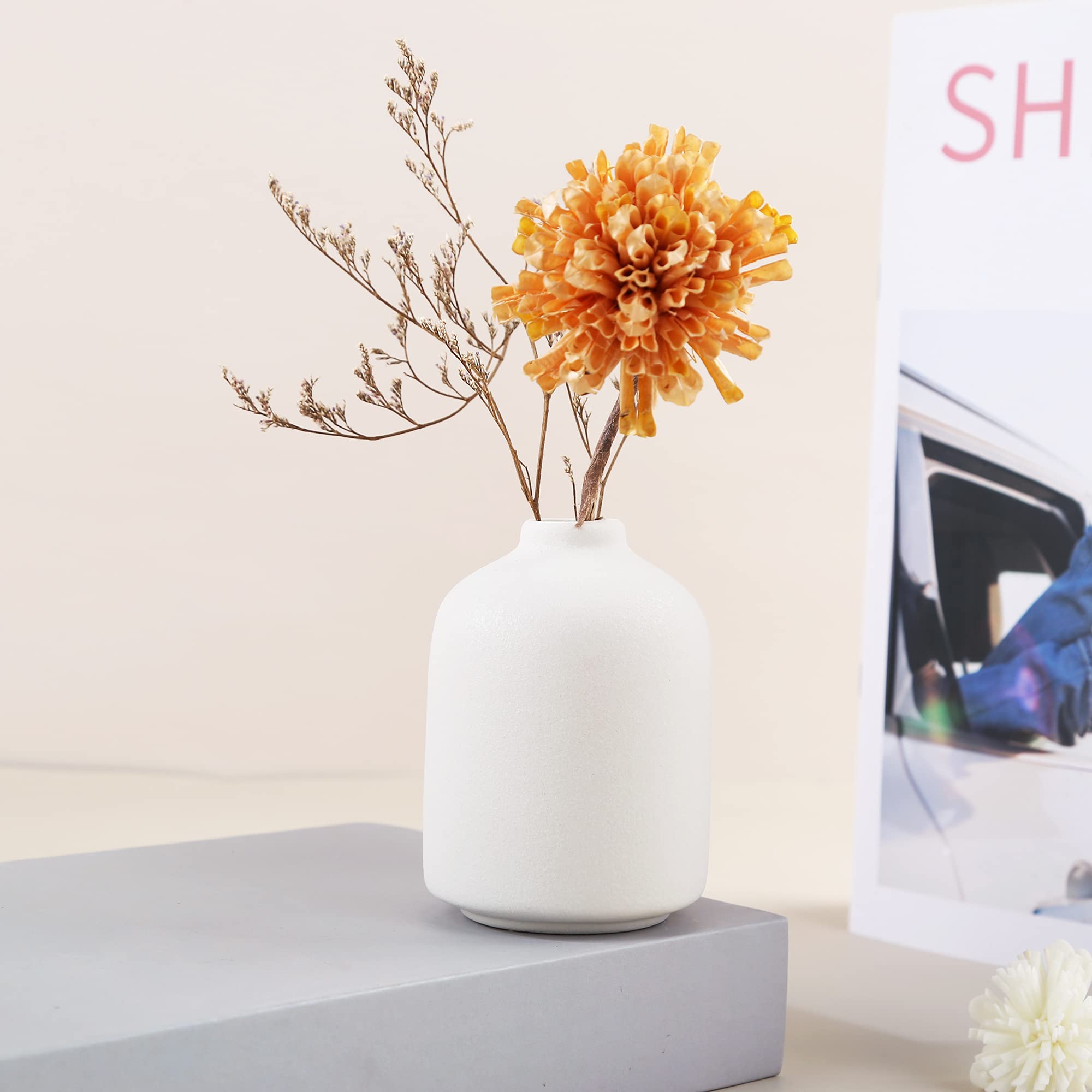 White Ceramic Vase for Home Decor - Elegant Dried Flower Vase & Living Room Centerpiece - Perfect for Flower Arrangements, Interior Design, and Photography Props | Ideal for Weddings, Dining Tables, and Modern Home Styling