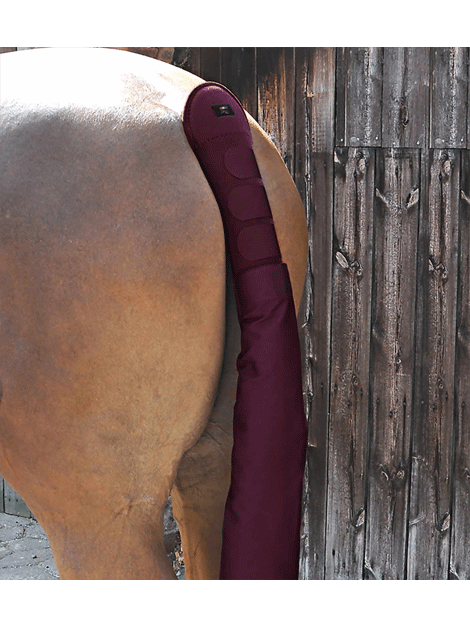 Premium Padded Tail Guard with Detachable Storage Bag - Protective Horse Gear for Riding, Training & Show | Comfortable Equestrian Equipment for Horses