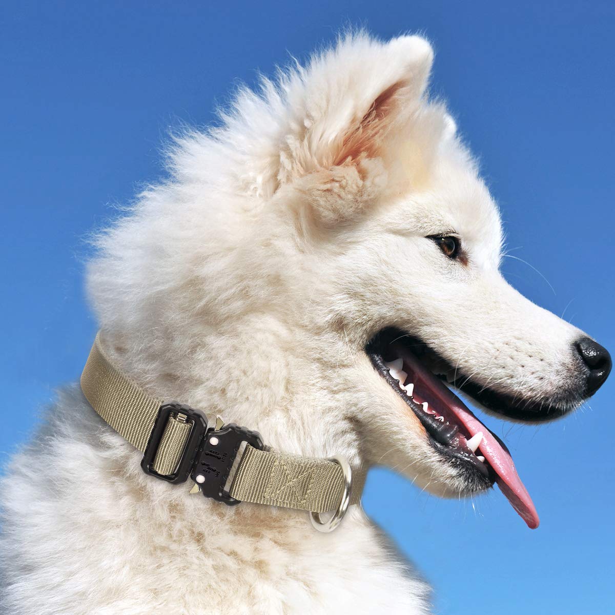 Tactical Dog Collar for Medium, Large & XL Dogs - Adjustable Nylon K9 Collar with Quick-Release Metal Buckle (Brown, XL) - Durable Training & Outdoor Adventure Gear for Active Dogs