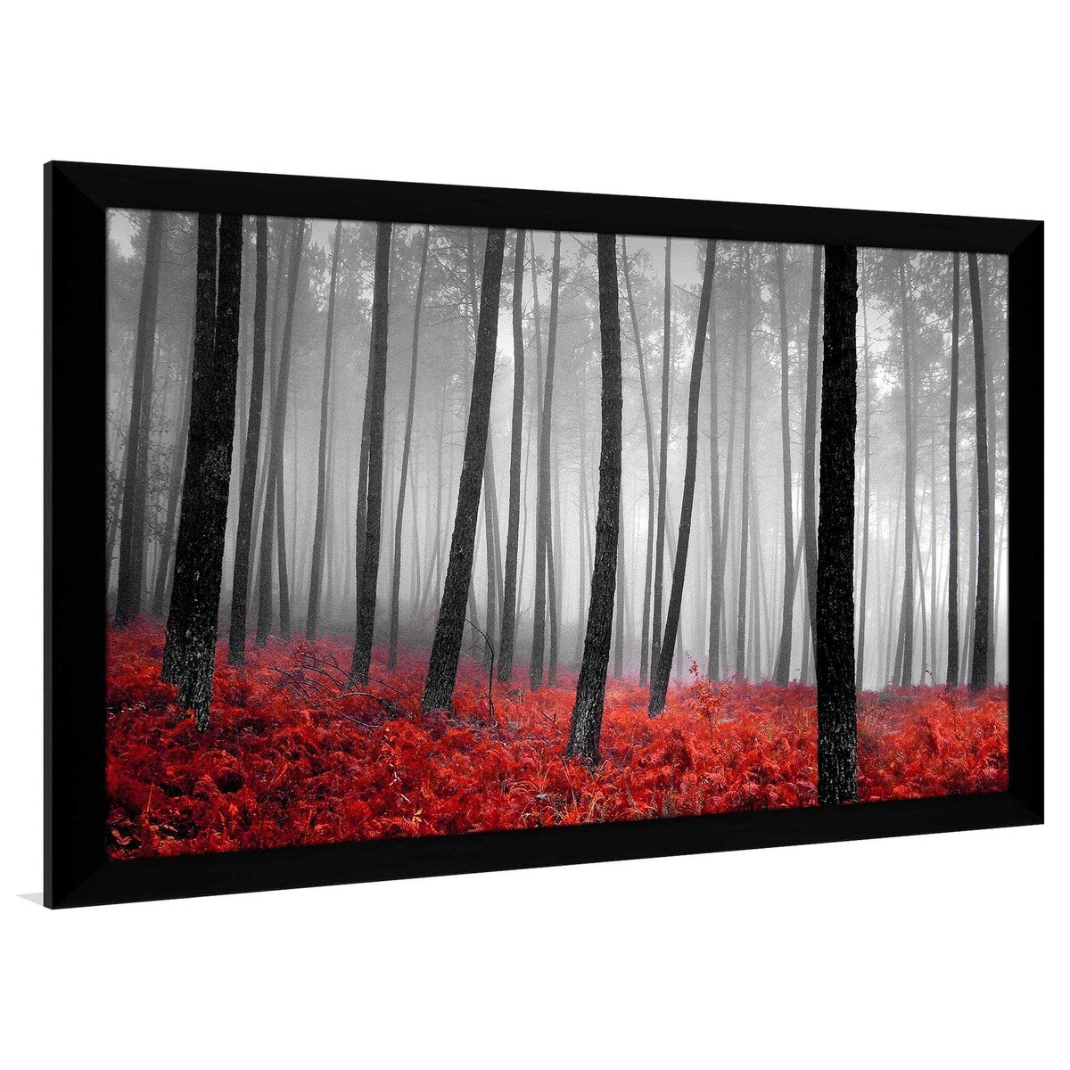 47 Autumn Woods Landscape Print on Acrylic - Premium Wall Art Decor for Living Room, Bedroom & Office | Nature Photography by PhotoINC Studio