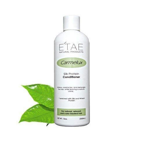 ETAE Carmelux Silk Protein Conditioner - Deep Hydrating & Repairing Hair Treatment for Dry, Damaged Hair - Salon Quality Leave-In Conditioner for Smooth, Shiny Hair - Perfect for Daily Use & Post-Color Care