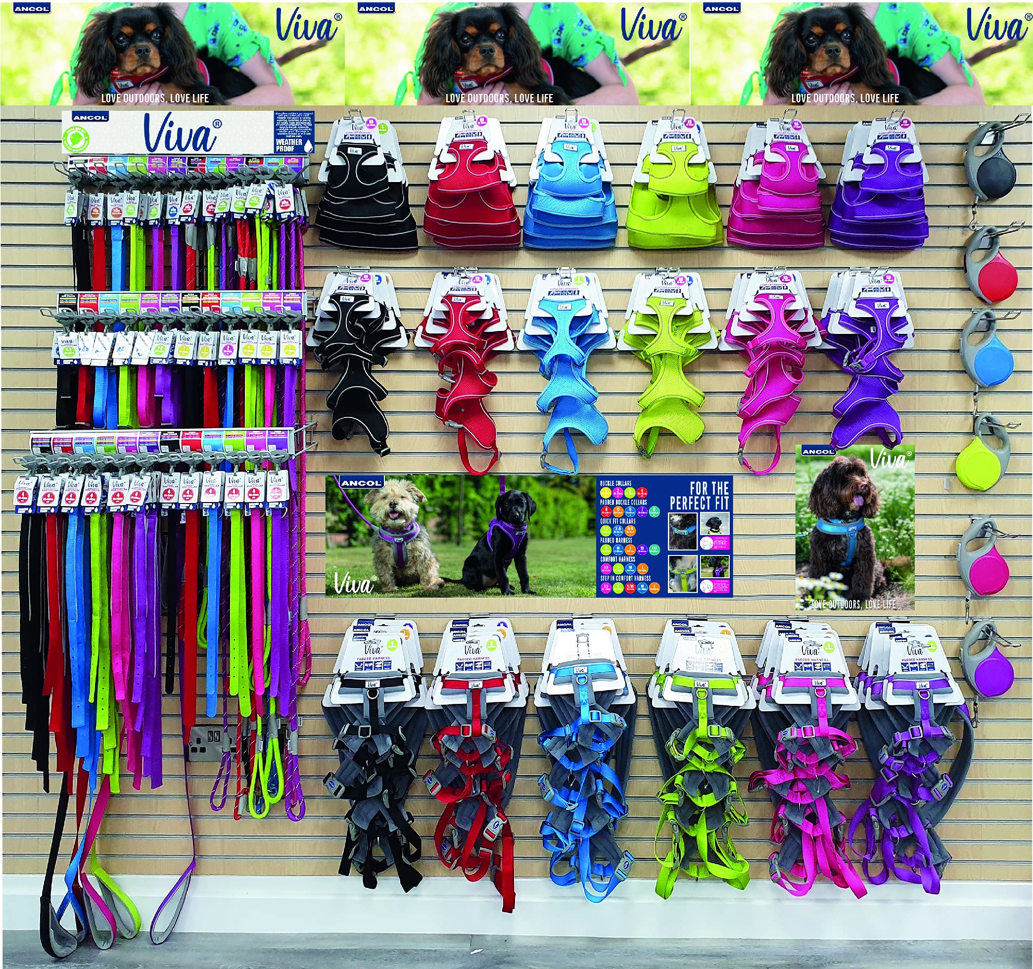 Ancol Viva Padded Strong Dog Chest Harness - Medium Size, Lime Green - Comfortable & Secure Walking Harness for Medium Dogs - Perfect for Outdoor Adventures, Training & Daily Walks