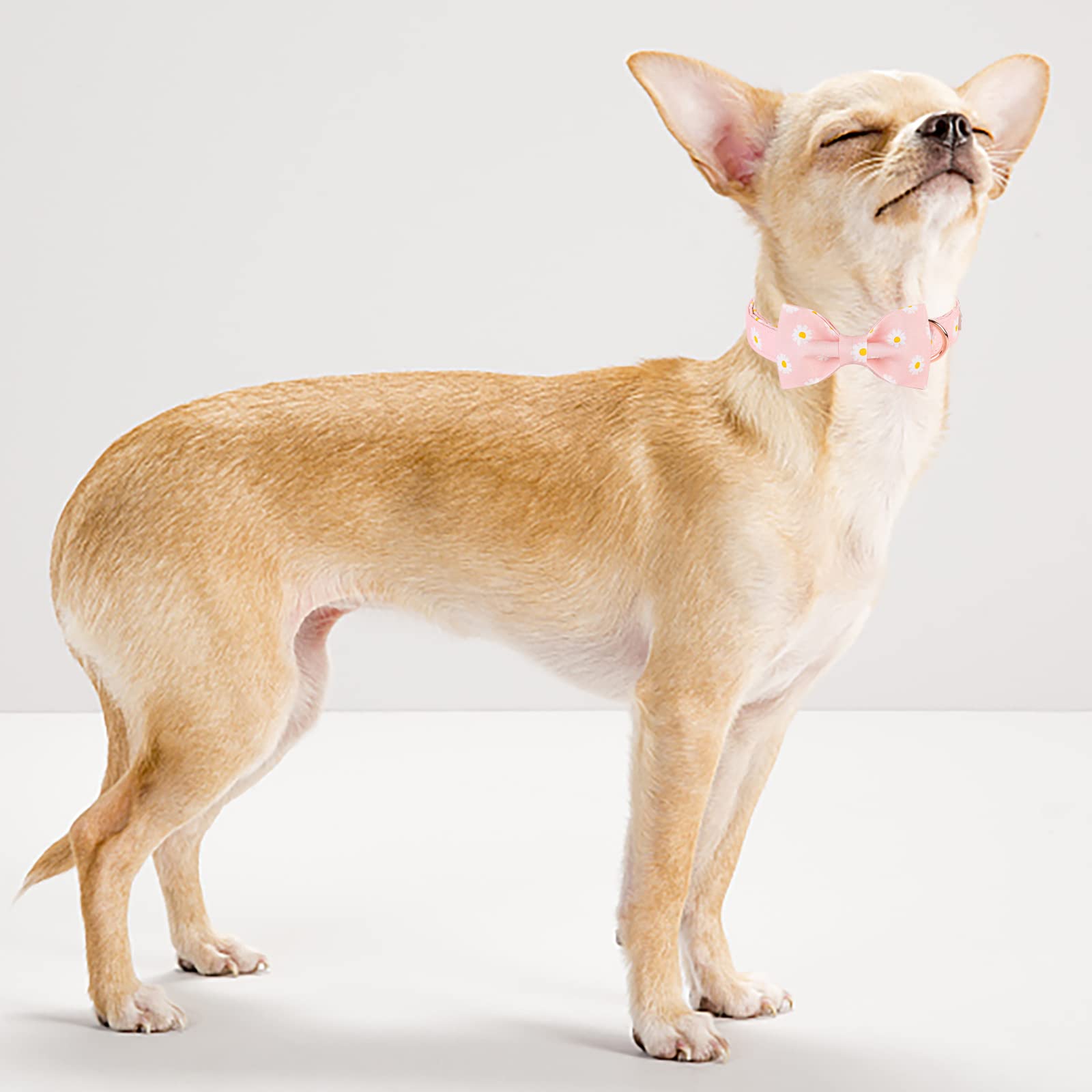 **Pink Daisy Bow Tie Dog Collar - Adjustable Cotton Puppy Collar with Safety Metal Buckle for Small, Medium & Large Dogs (13.5