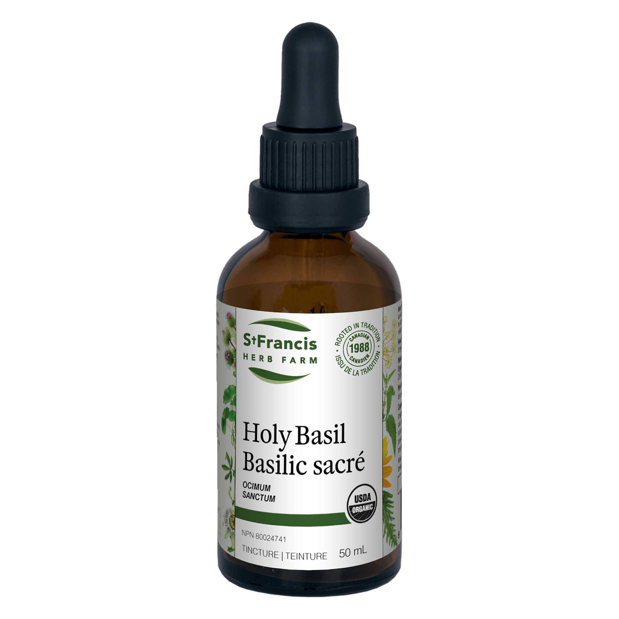 Holy Basil (Ocimum sanctum) - Organic Tulsi Tea Leaves for Stress Relief & Immune Support - Perfect for Herbal Tea, Ayurvedic Remedies & Relaxation