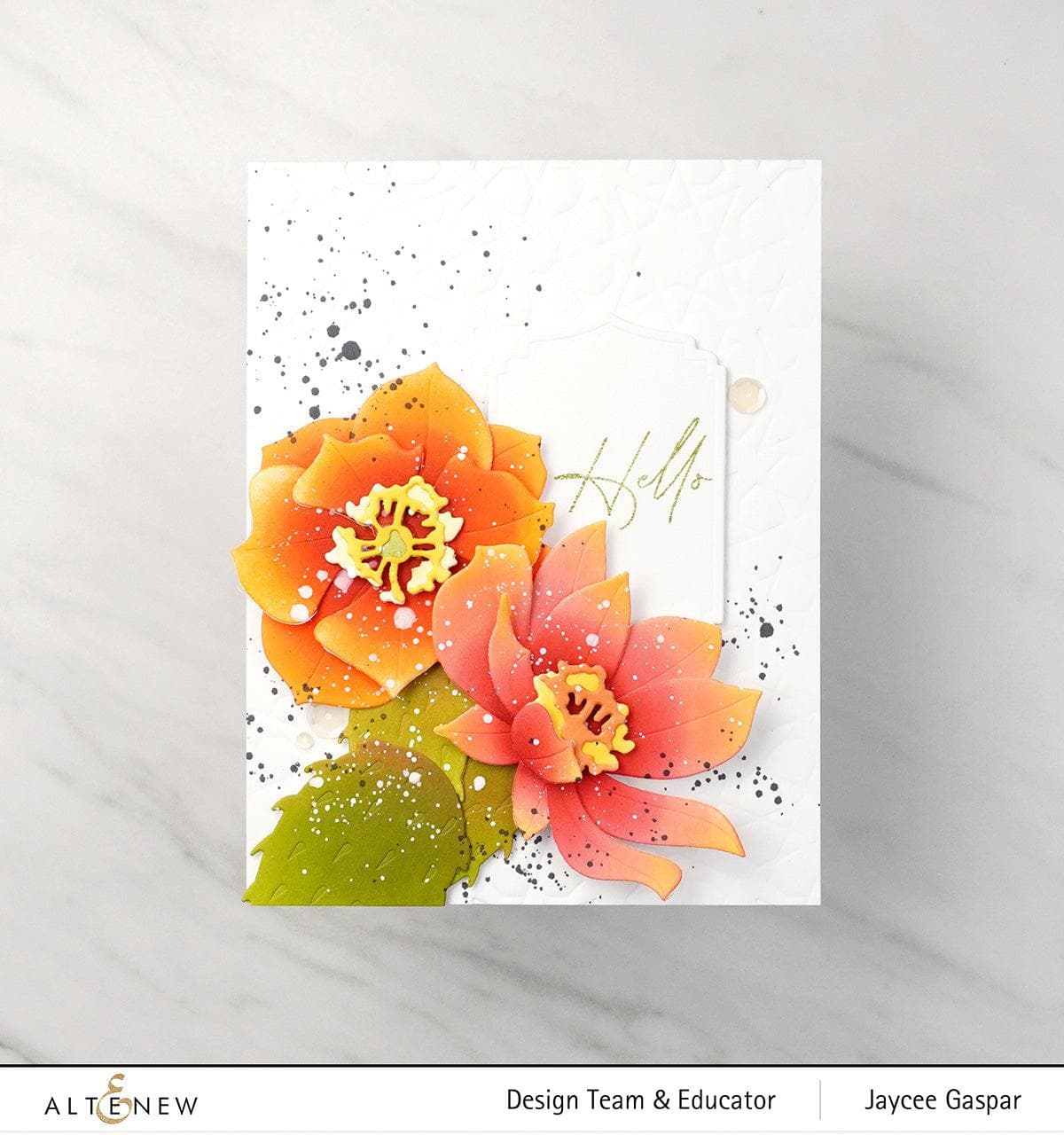 Prickly Pear Die Set for Card Making, Scrapbooking, and DIY Crafts - Perfect for Handmade Greeting Cards and Paper Projects