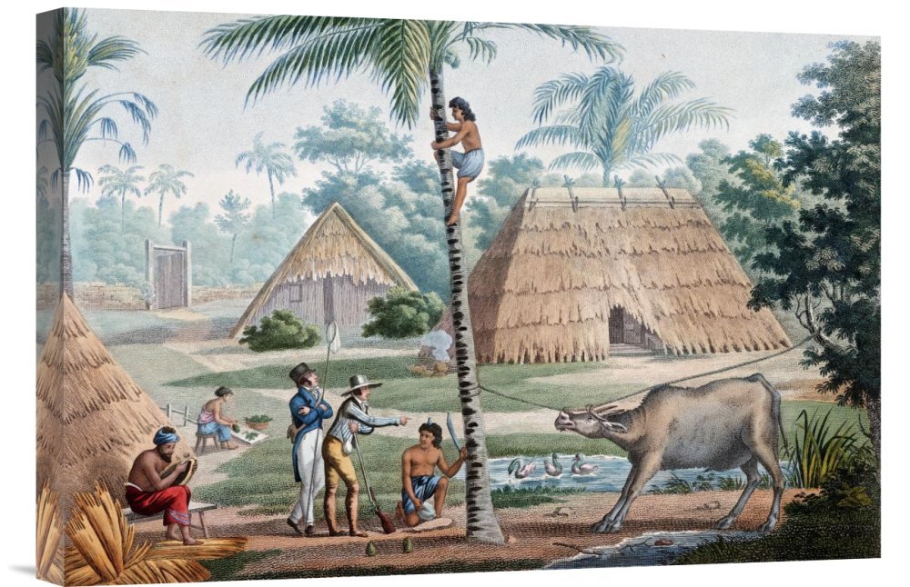 Louis De Freycinet Timor Island Indonesia Canvas Wall Art Print - Gallery Wrap Giclee - Home & Office Decor - Perfect for Living Room, Bedroom or Office Wall Decor