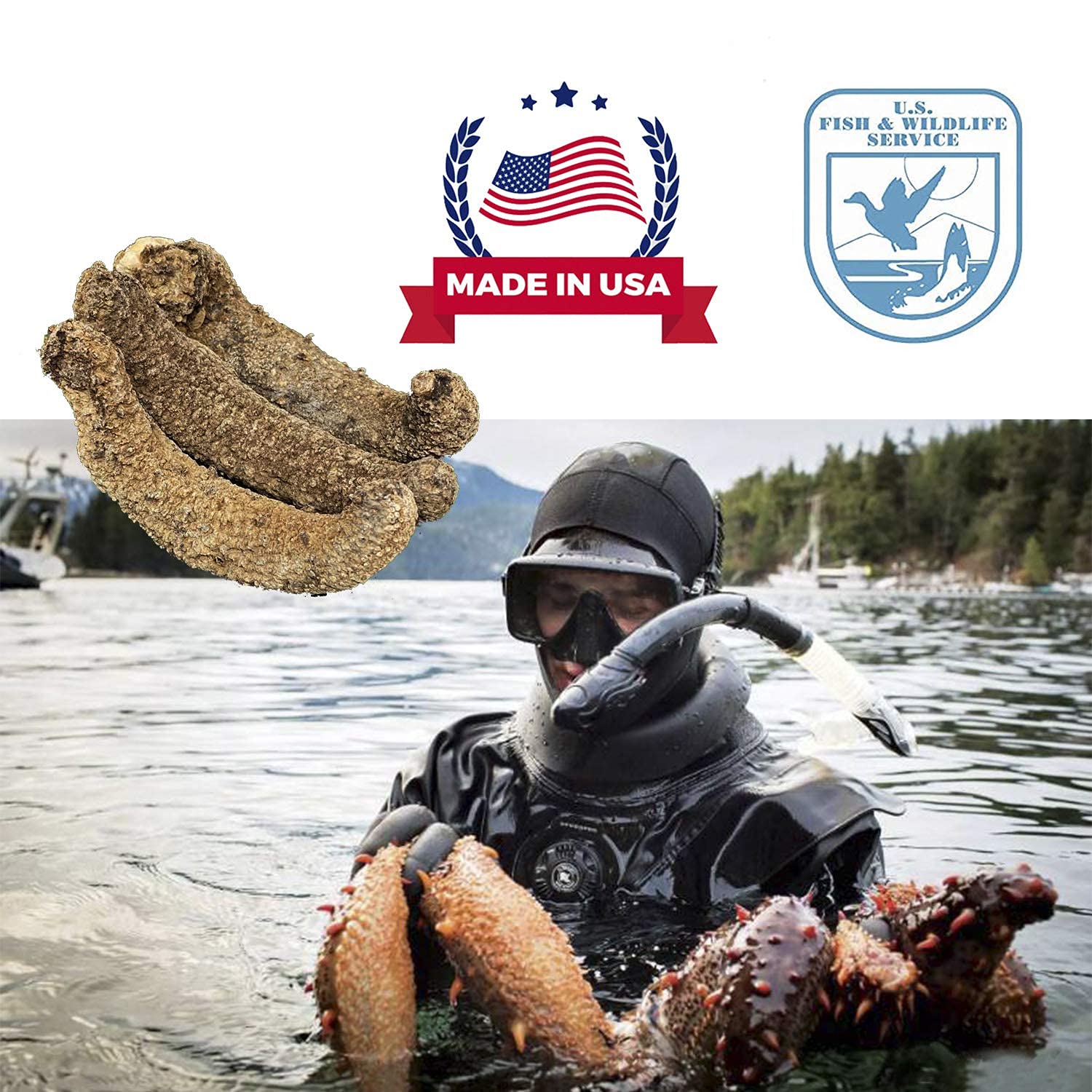 Premium Wild Alaska Red Sea Cucumber - Dried & Nutrient-Rich (8oz Bag) | Gourmet Seafood Delicacy for Soups, Stews & Chinese Banquet Dishes