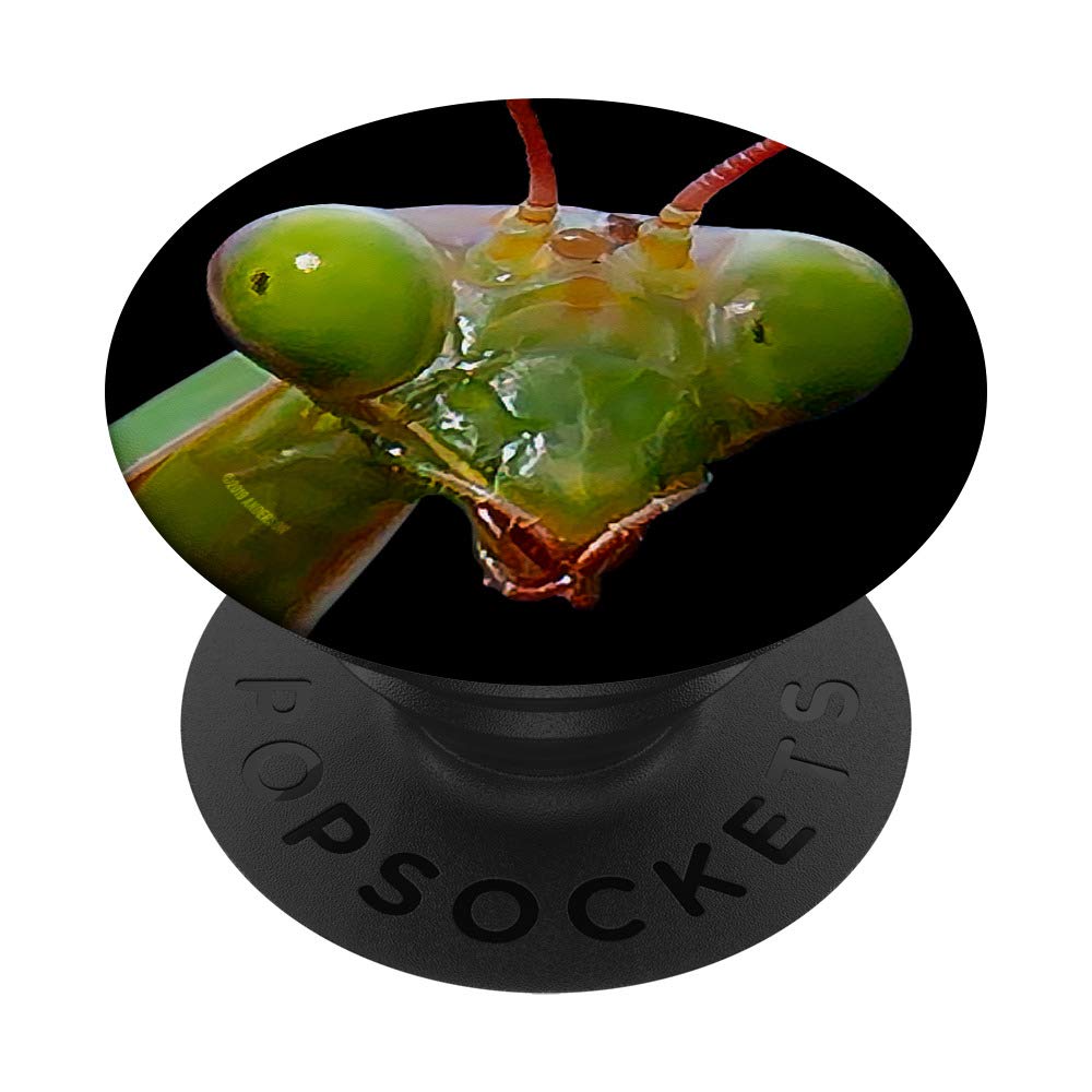 Green Praying Mantis PopSockets Phone Grip & Stand - Expandable Phone Holder for iPhone, Samsung Galaxy - Perfect for Selfies, Video Calls & Secure Grip