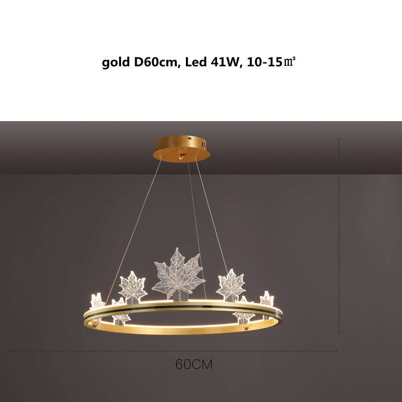1 ring gold D60cm