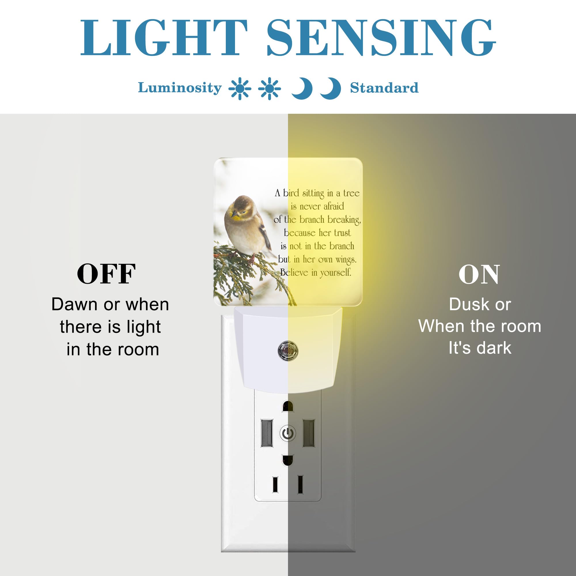 **Inspirational Quote LED Night Light Plug in Wall - Dusk to Dawn Sensor for Kids, Girls, Boys, Women - Perfect for Bedroom, Hallway, Kitchen, Bathroom, Nursery & Stairs - Create a Cozy & Motivational Ambiance**