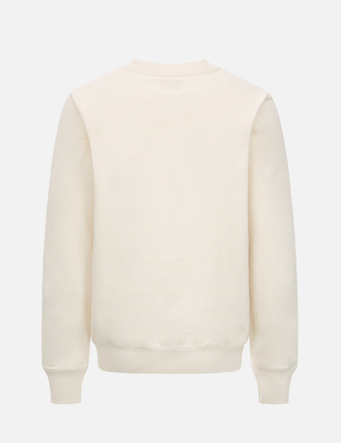 Stylish Seagull Print Sweatshirt for Women & Men | Trendy Casual Pullover | Perfect for Beach Outings, Travel & Everyday Wear