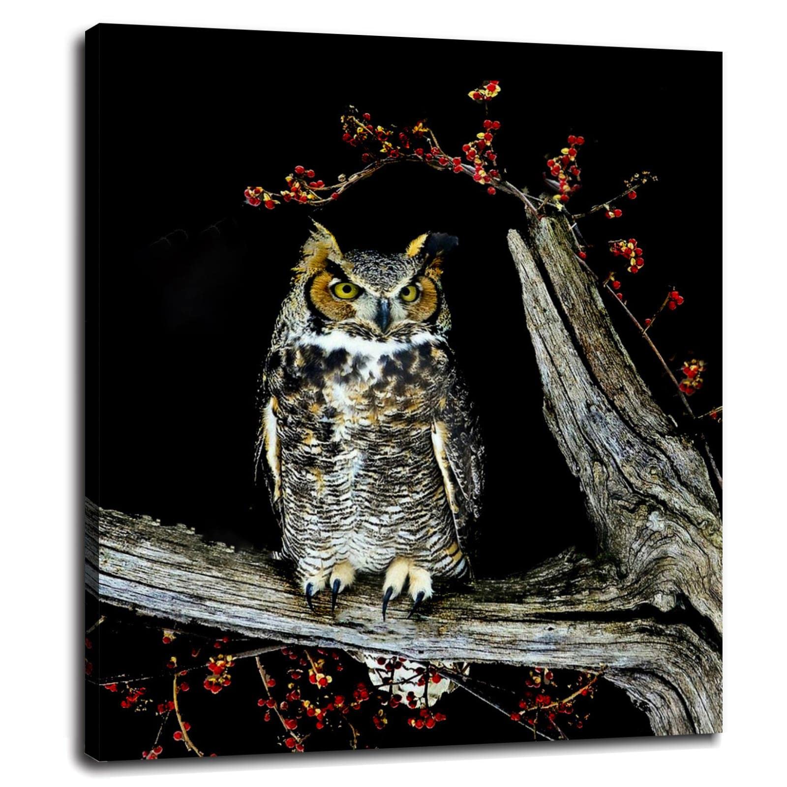 Owl Canvas Wall Art - 10