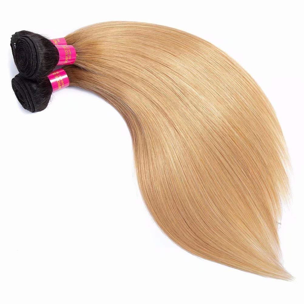 FEEL ME Ombre Brazilian Hair Weave 3 Bundles 10 12 14 Inch - 1B/27 Honey Blonde Straight Virgin Hair Extensions | 8A Mink Unprocessed Human Hair | Perfect for Daily Styling, Parties & Special Occasions