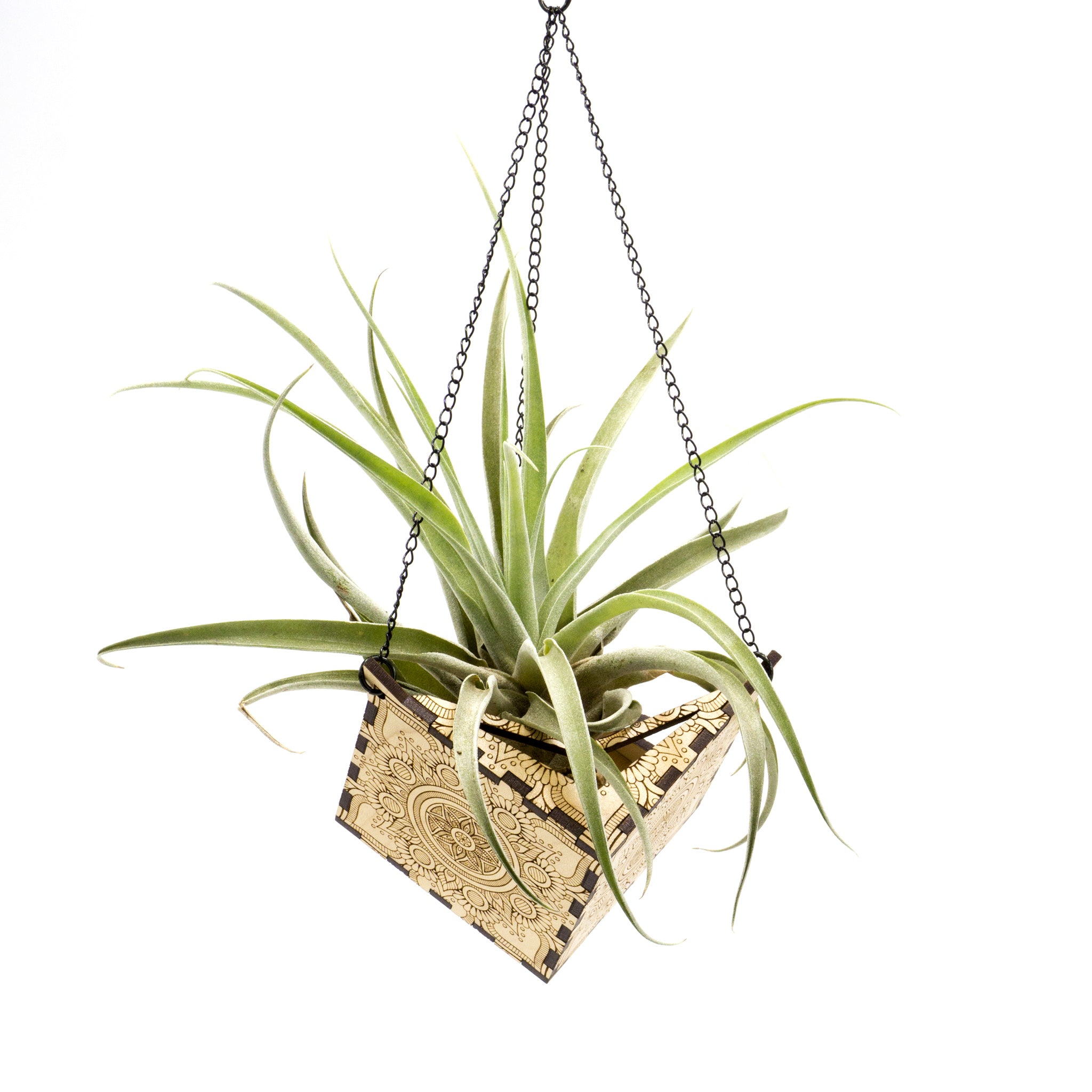Hemicube Free Hanging Planter - Air Plant Holder | Handmade Wooden Home Decor for Plant Lovers | Unique Wall Display for Living Rooms, Offices & Gifts | Modern Boho Indoor Gardening Decor