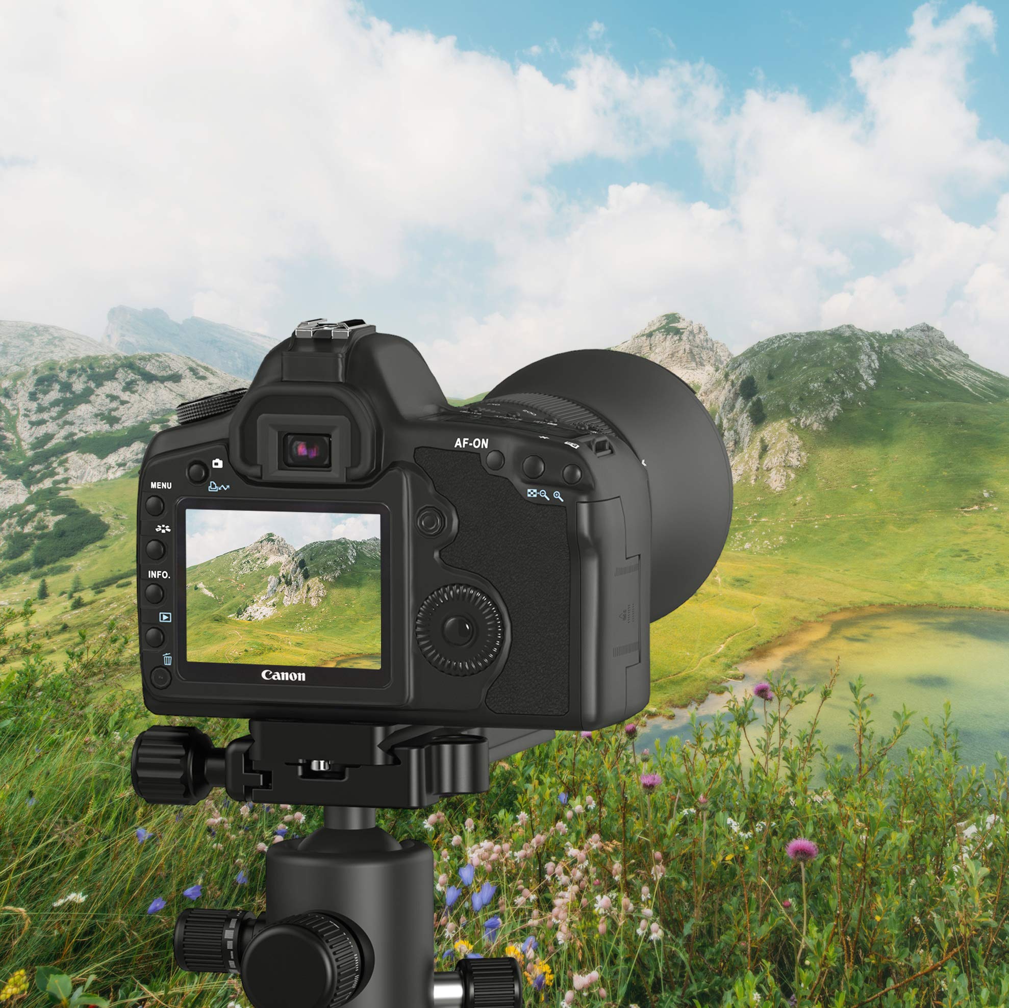SABRENT 62-Inch Lightweight Carbon Fiber Tripod with 360° Ball Head & Quick Release Plate - Professional Camera Tripod for DSLR, Mirrorless, Video Cameras (TP-CF62) - Perfect for Travel, Vlogging, Photography & Outdoor Shooting