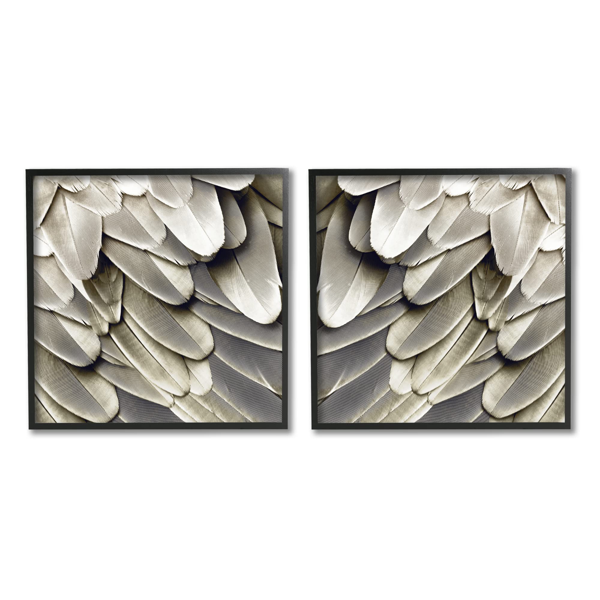 Stupell Industries Feathered Bird Wings Wall Art - Stunning Close-Up Photography by Julia Bosco | Nature-Inspired Home Decor for Living Room, Bedroom & Office