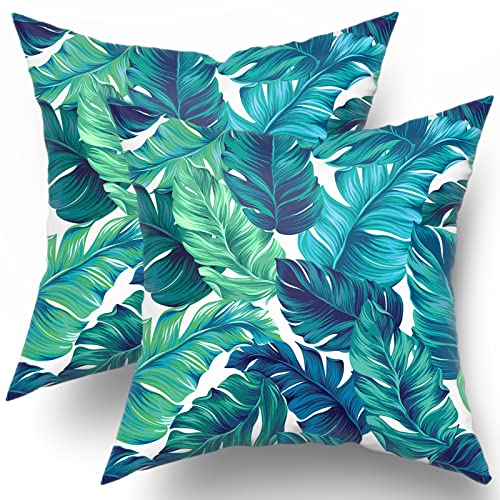 Palm Leaf 1