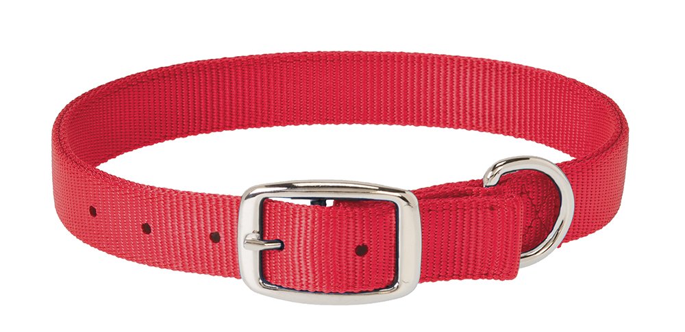 Premium Weaver Dog Collar - Adjustable Nylon Pet Collar with Metal Buckle for Small Medium Large Dogs - Perfect for Walking, Training & Outdoor Adventures