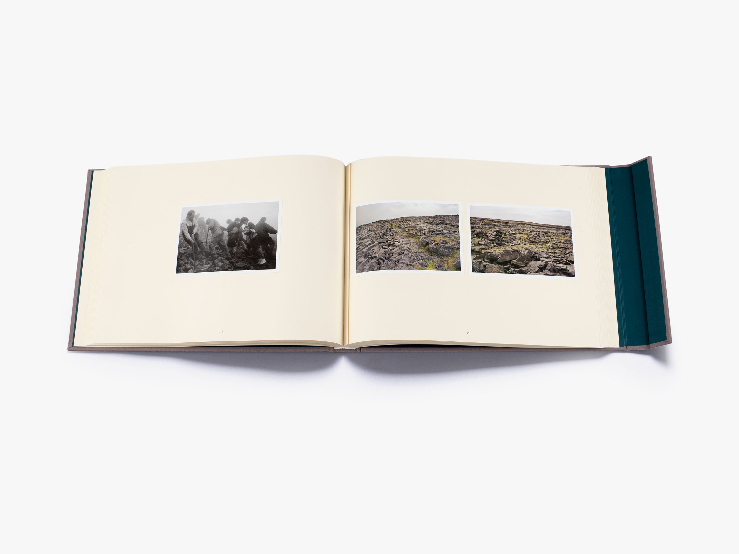 Here Comes Everybody (Limited Edition) - Exclusive Book for Collectors & Literature Lovers | Perfect Gift for Book Enthusiasts & Home Library Decor