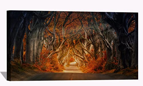 The Dark Hedges Road Forest