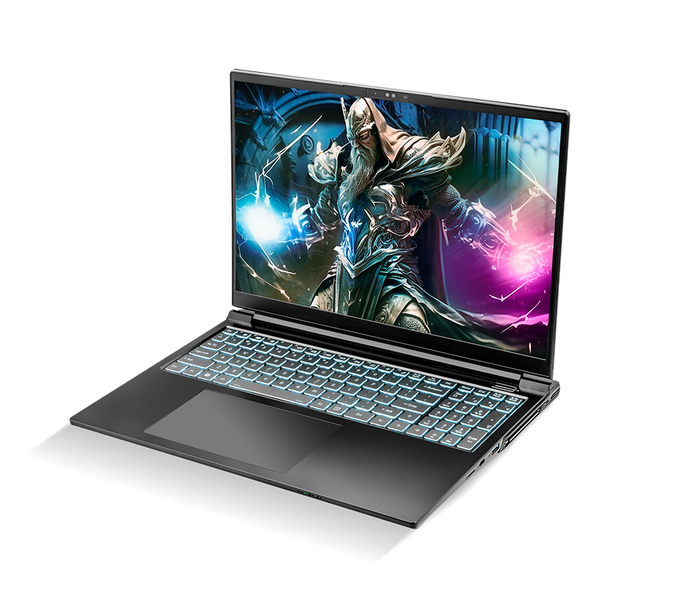 SAGER NP8866E (Clevo PE60SNE G) 15.6