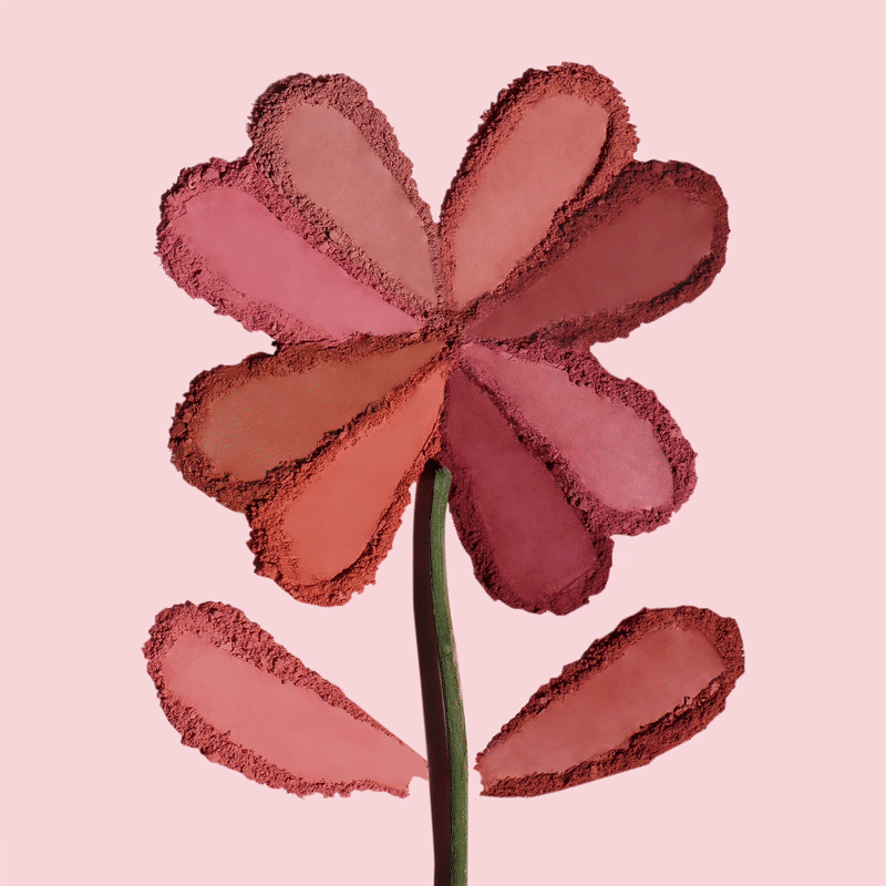 Lucky Chance Blush (009, Monroe) - Long Lasting Matte Blush Makeup for Cheeks | Perfect for Everyday Wear & Special Occasions