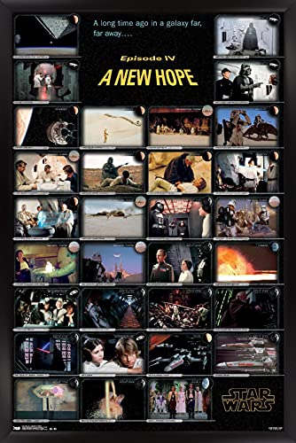 Black Framed Version