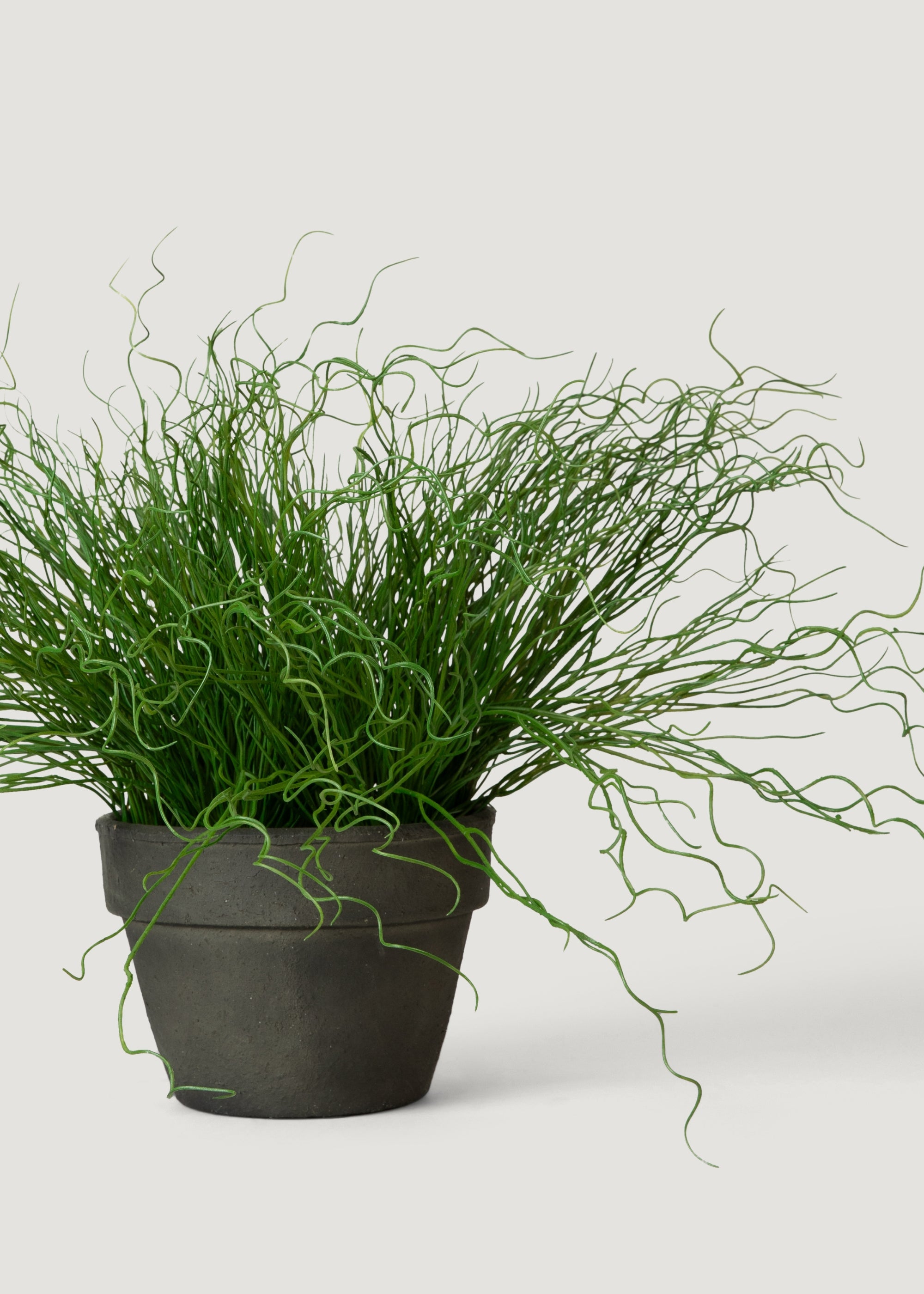 Artificial Pencil Cactus Plant in Pot - 18.5