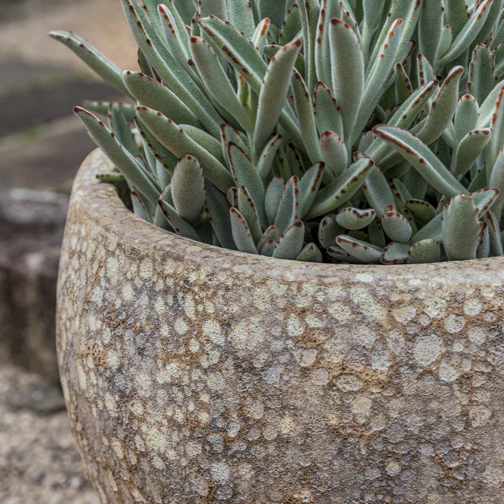 Campania International Symi Planter Set of 3 - Sahara Finish - Outdoor Garden Decor for Patio, Balcony & Home Decor