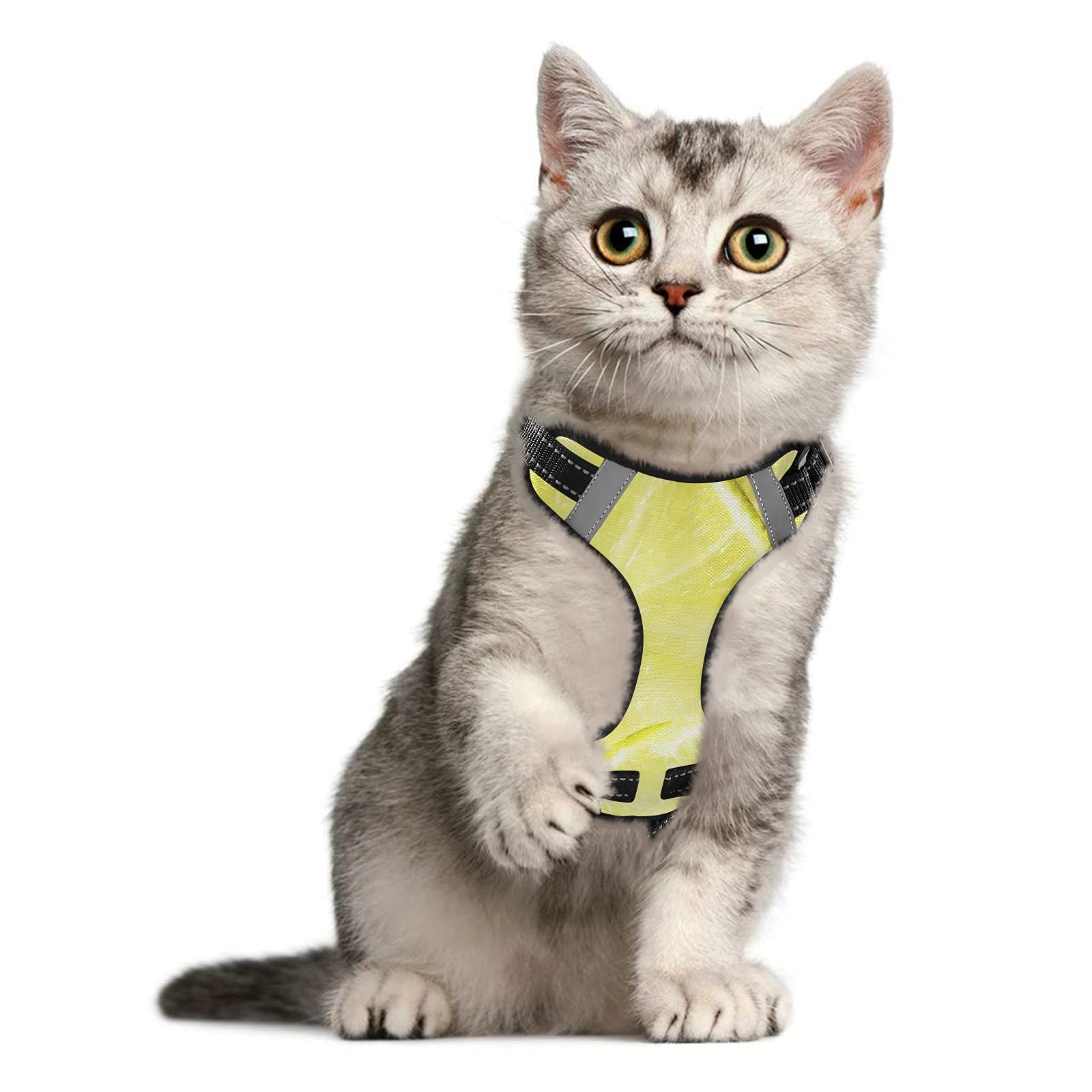 Adjustable Soft Padded Lemon Fruit Slice Dog Harness with Leash - Reflective No-Choke Pet Oxford Vest for Small Dogs | Easy Control Handle for Walking, Running & Outdoor Adventures