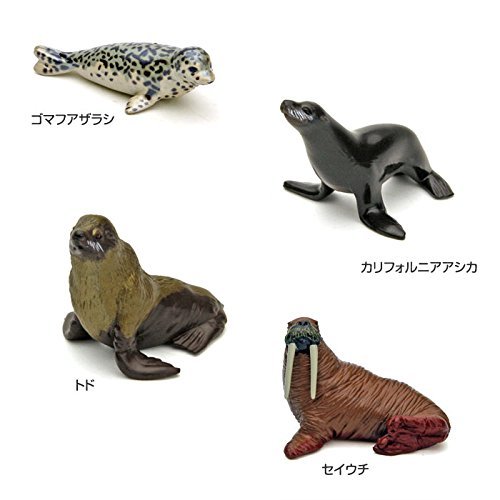 Authentic Marine Mammal Figurine Set - Lifelike Dolphin, Whale & Seal Collectibles for Kids & Adults | Perfect for Educational Play, Ocean-Themed Decor & Gift Giving