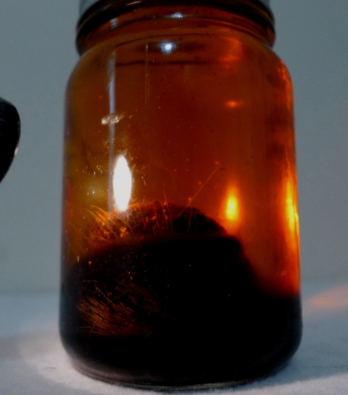 Pure Natural Black Deer Musk Nafa Misik Hitam Oil - 3ml Strong Intense Aroma Oil for Perfume Making, Aromatherapy & Spiritual Rituals