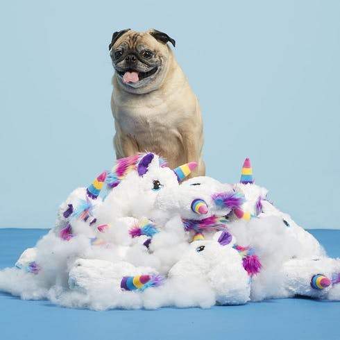 BarkShop Pete The Frankly Fantastic Unicorn Dog Plush Toy - Soft & Durable Stuffed Animal for Dogs - Perfect for Chewing, Cuddling & Playtime