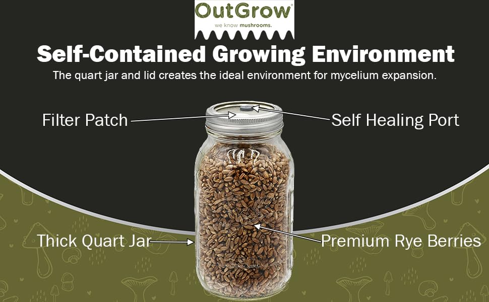4 Quart Sterilized Rye Grain Jars & 4 lbs Manure-Based Mushroom Substrate - Premium Mushroom Growing Kit for Home Cultivation (Gourmet & Medicinal Mushrooms)