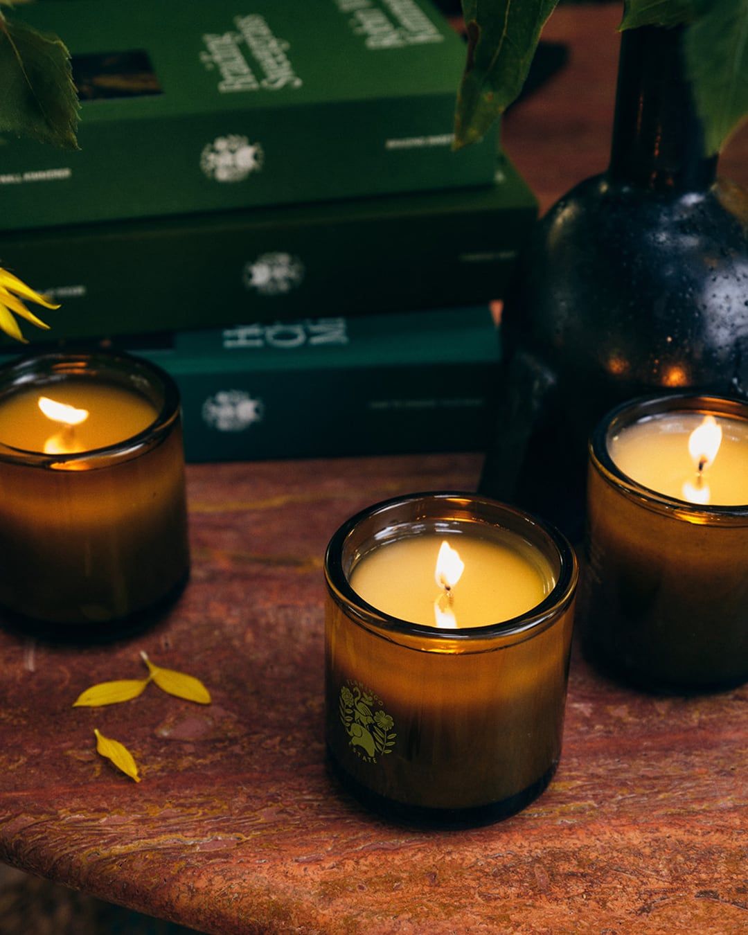 Tuscan Rosemary Scented Climbing Candle - Handmade Soy Wax Aromatherapy for Relaxation, Stress Relief & Home Decor | Perfect for Yoga, Meditation & Romantic Dinners