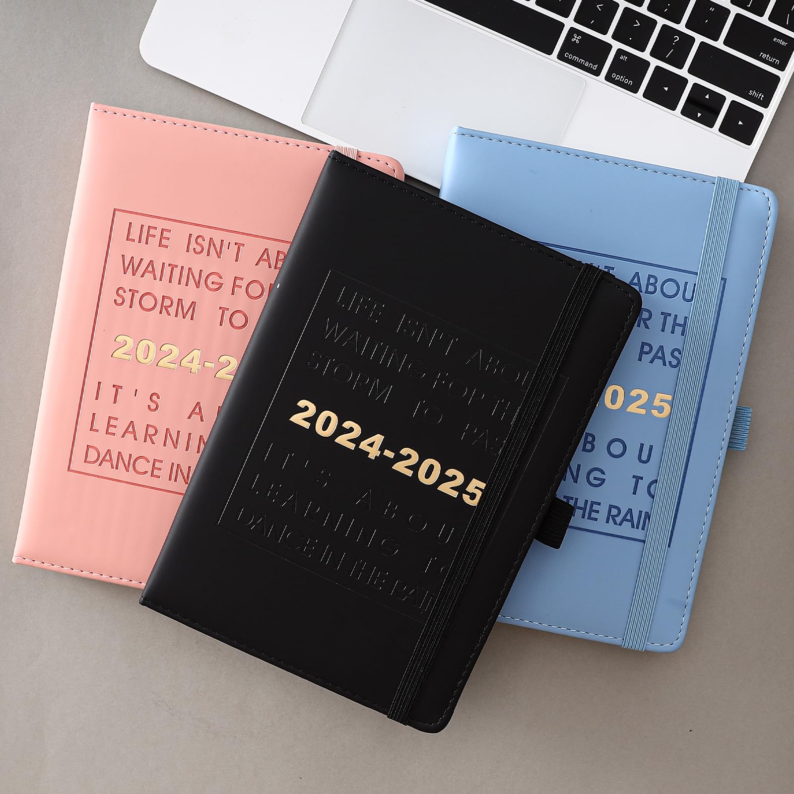 2024-2025 Academic Planner - 25 Pages Per Day, Week-to-View (July 2024-June 2025) with Pen Holder & Monthly Tabs - Perfect for Students & Professionals (Black)