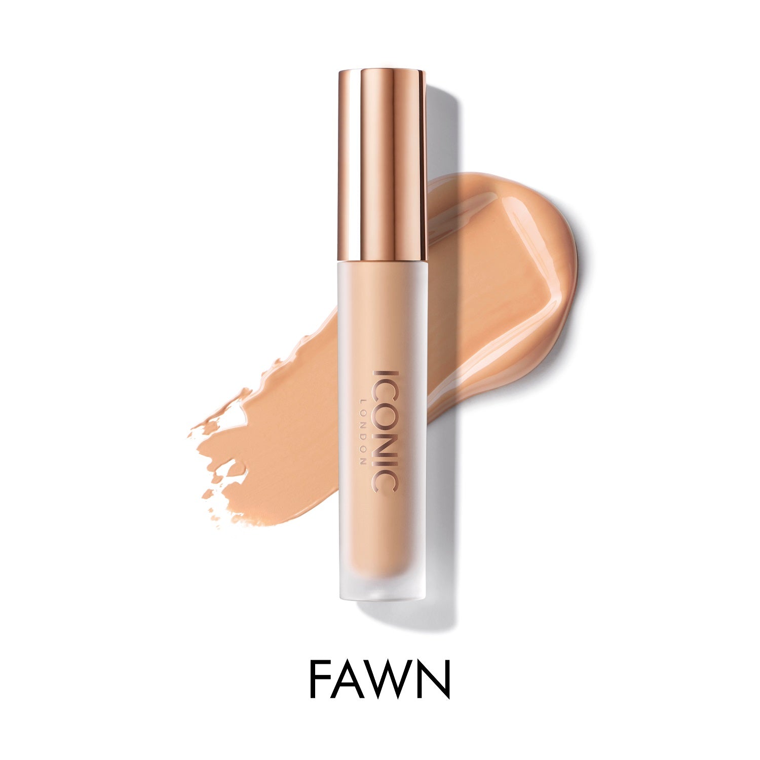 Fawn