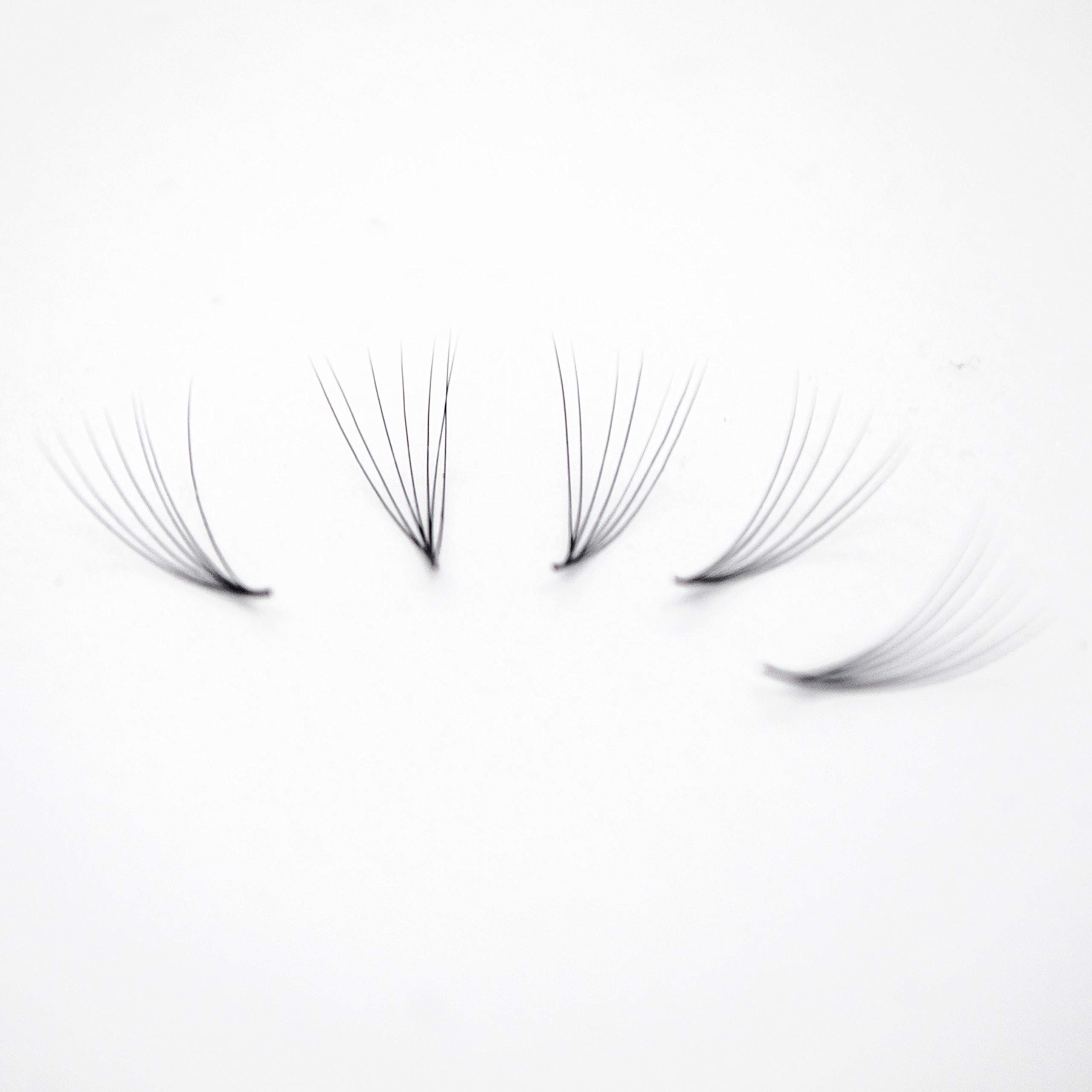 Premium 1000 Handmade Eyelash Extension Fans - 3D to 10D Volume Lashes (8D Curl C, 0.8mm) for Professional Salon & Home Use - Natural Look & Easy Application