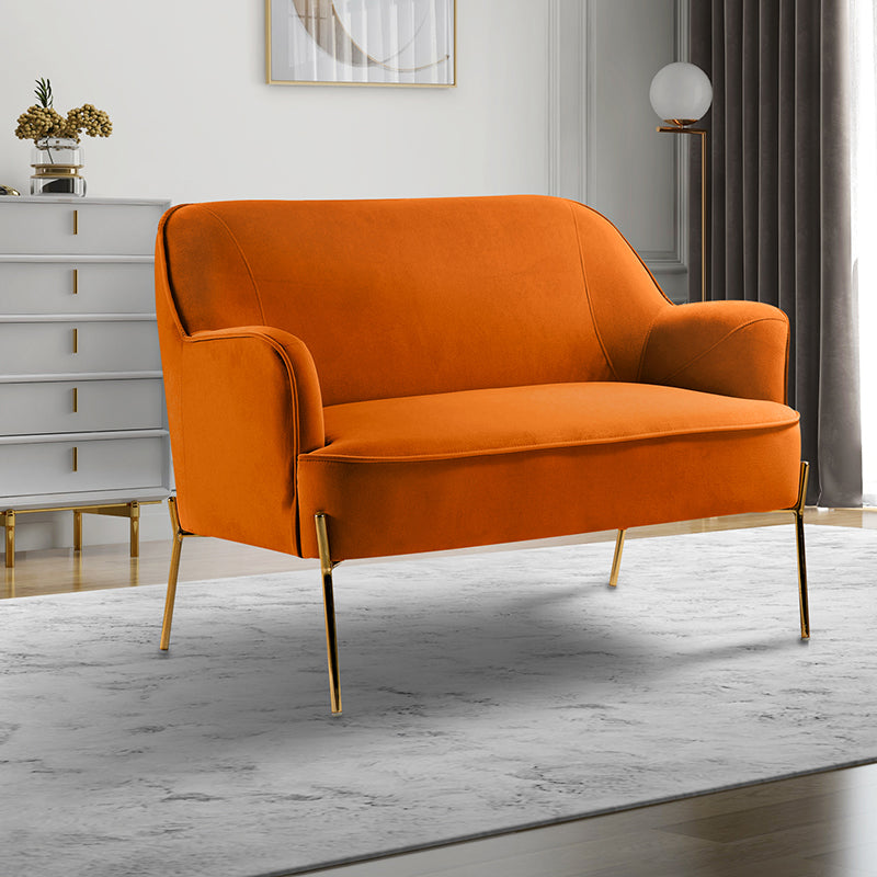 Stylish Africa Contemporary Velvet Loveseat Sofa - Modern Velvet Upholstered 2-Seater Couch for Living Room, Lounge & Home Decor