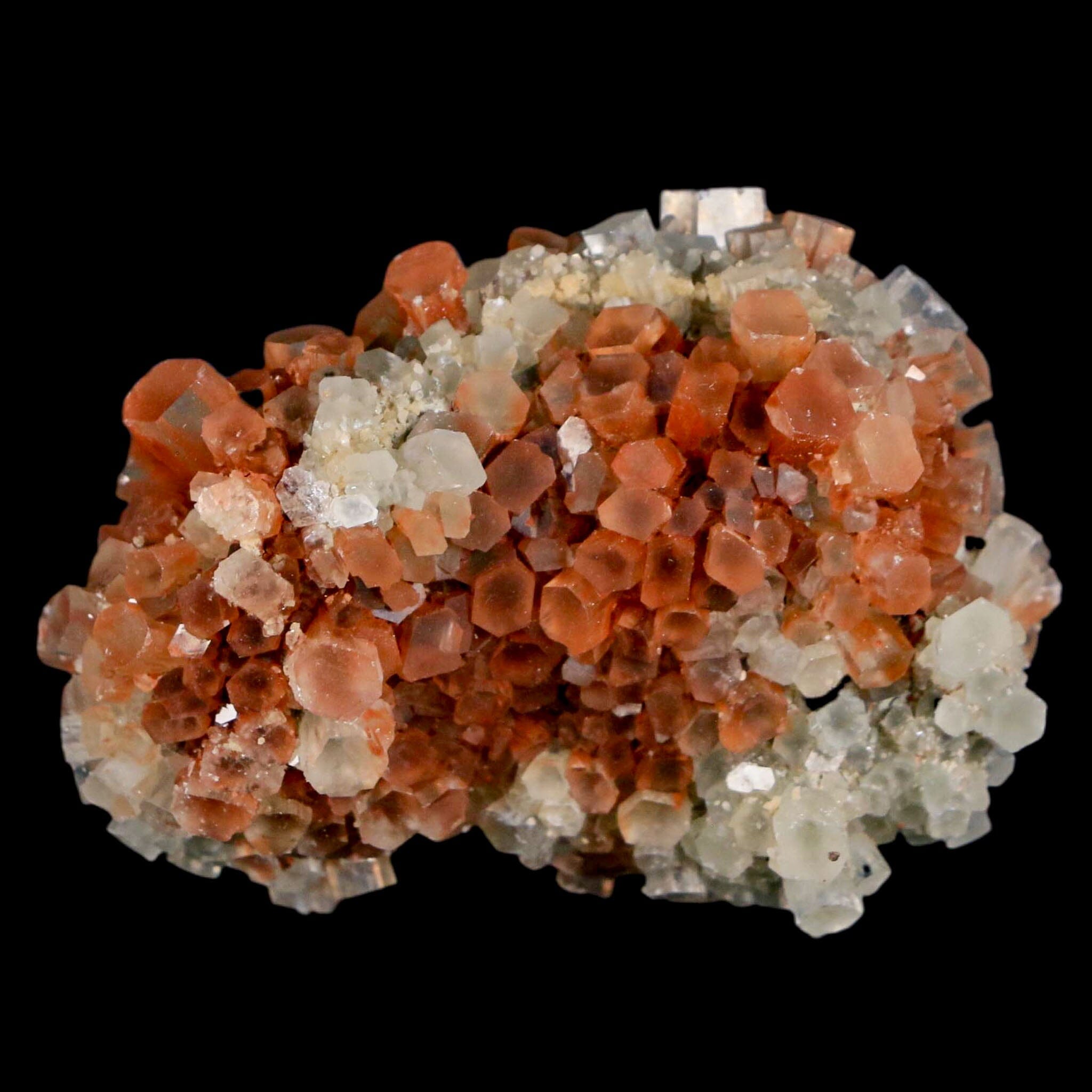 Natural Aragonite Mineral Two-Tone Crystal Cluster Specimen from Tazouta Morocco - Healing Stone for Meditation, Home Decor & Mineral Collection