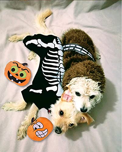 **BoomBone Halloween Dog Toy - Pumpkin Plush Squeaky Chew Toy for Small & Large Dogs | Fun Holiday Gift for Pets & Playtime**    (Note: This optimized title includes relevant keywords like 
