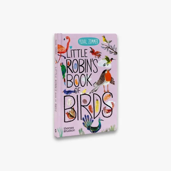 Little Robin's Book of Birds - The Big Book Series | Illustrated Children's Nature Guide | Perfect for Homeschooling & Bedtime Reading