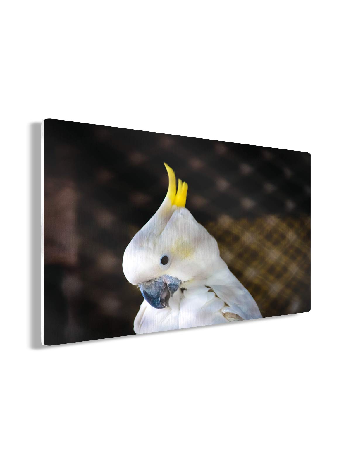 Funny Ugly Christmas Sweater Tropical Birds Metal Print Wall Art - 20