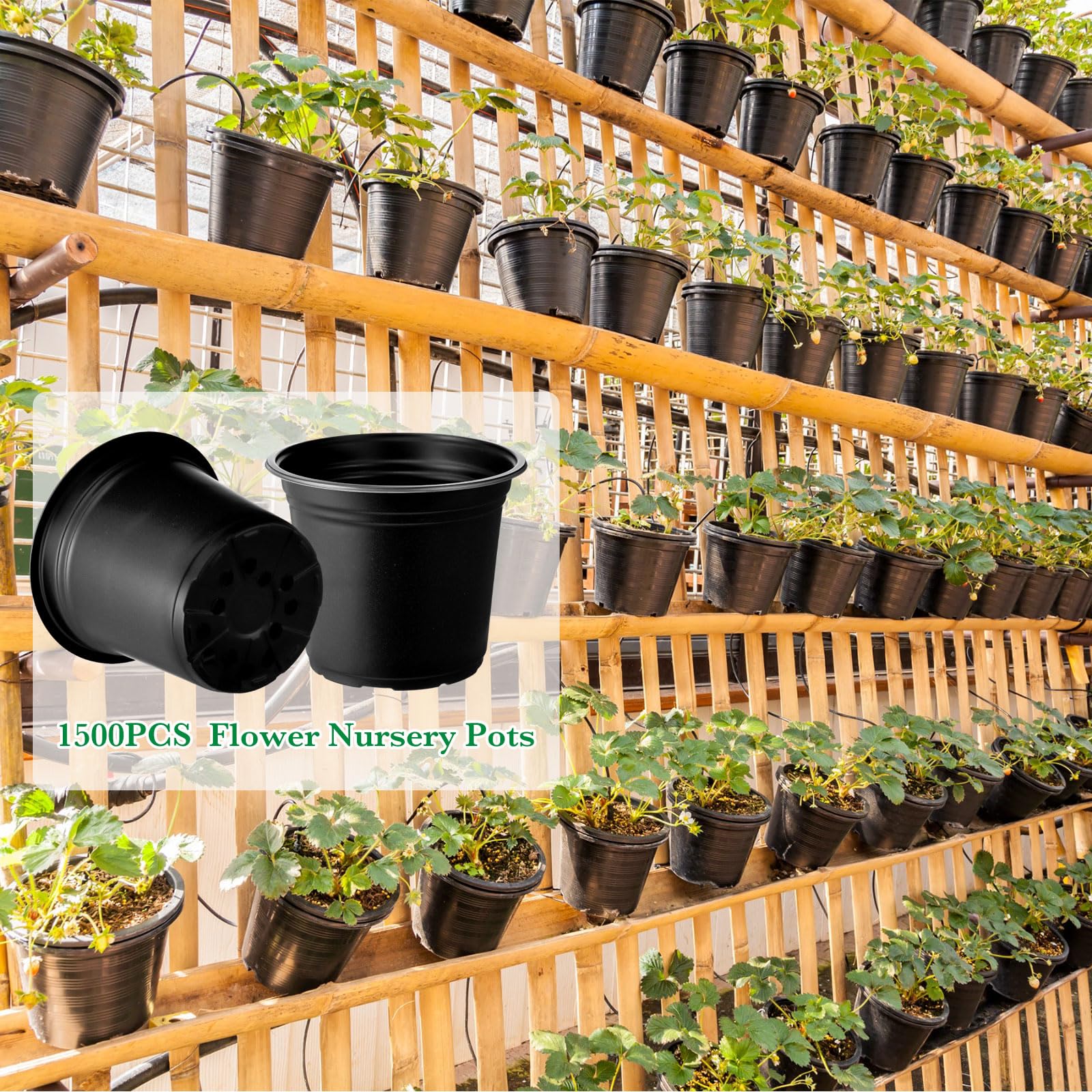 1500 Pcs 6 Inch Black Plastic Seedling Pots with Drainage Holes - Reusable Plant Nursery Containers for Indoor/Outdoor Gardening, Seed Starting, Flower Transplanting - Perfect for Greenhouses, Home Gardens & Urban Farming