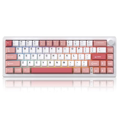 Silver / Pink
